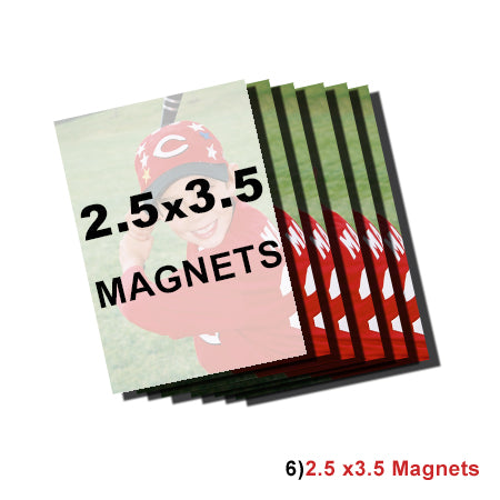6-2.5x3.5 Photo Magnets